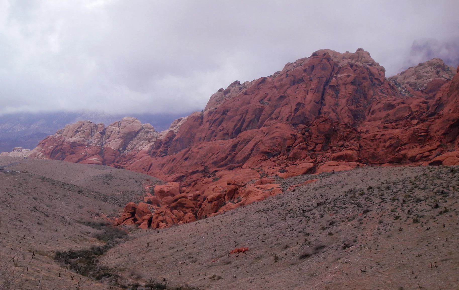 Hope in a Barren Land